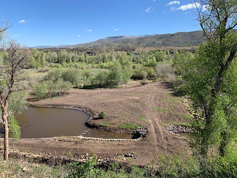 After — Woodland Restoration