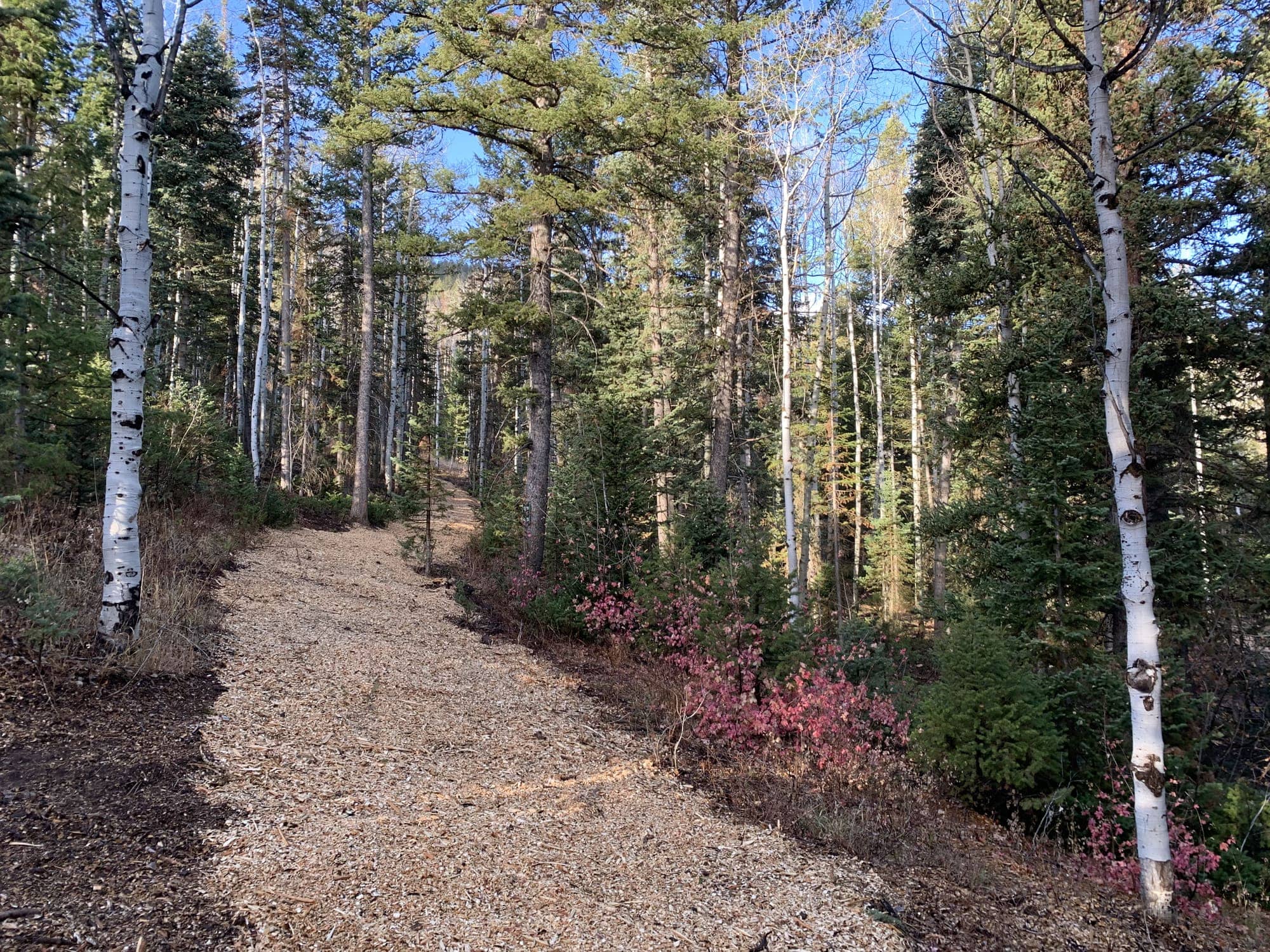 After — White Pine Canyon #19 — View 4 of 7