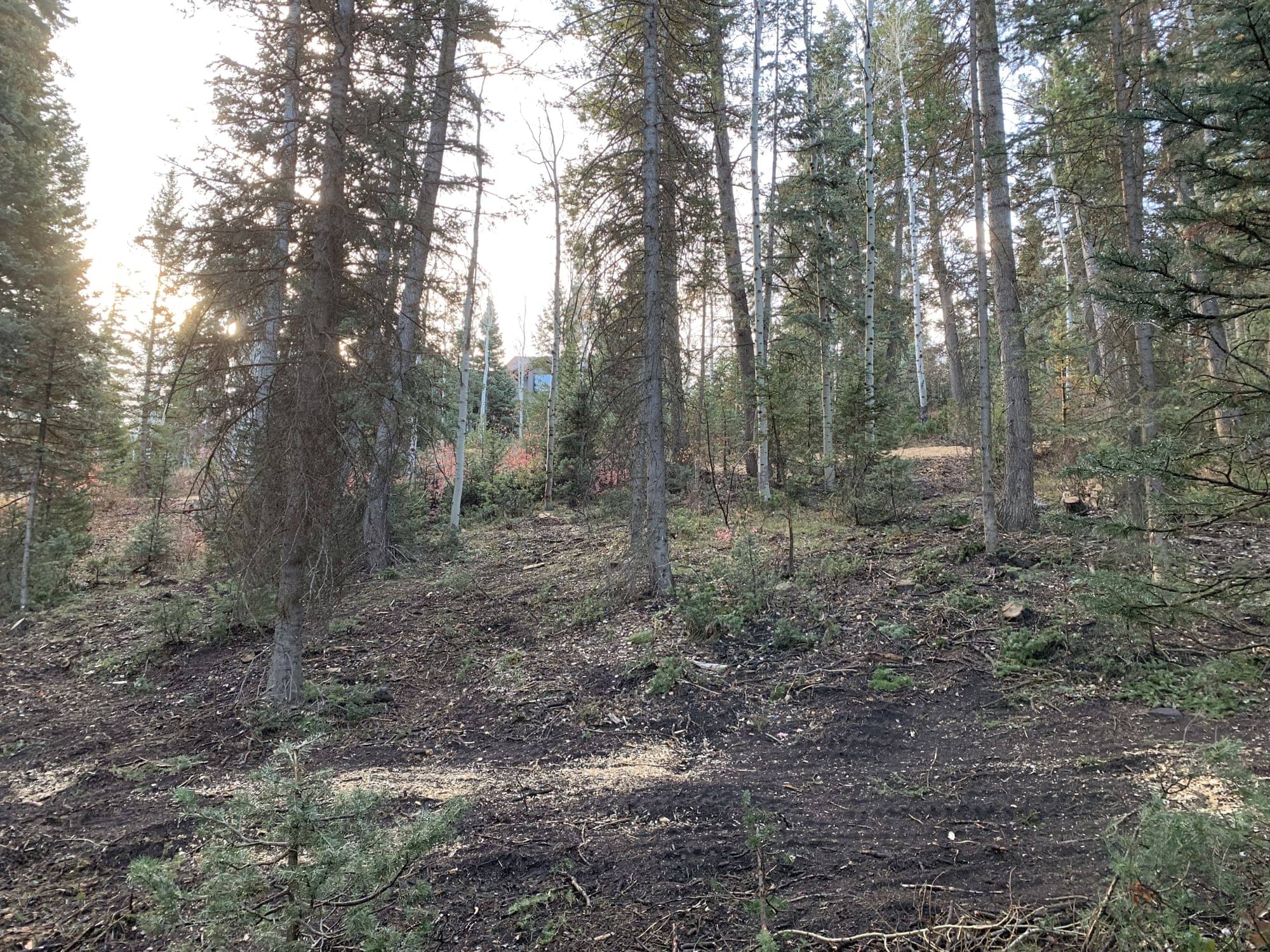 After — White Pine Canyon #19 — View 5 of 7