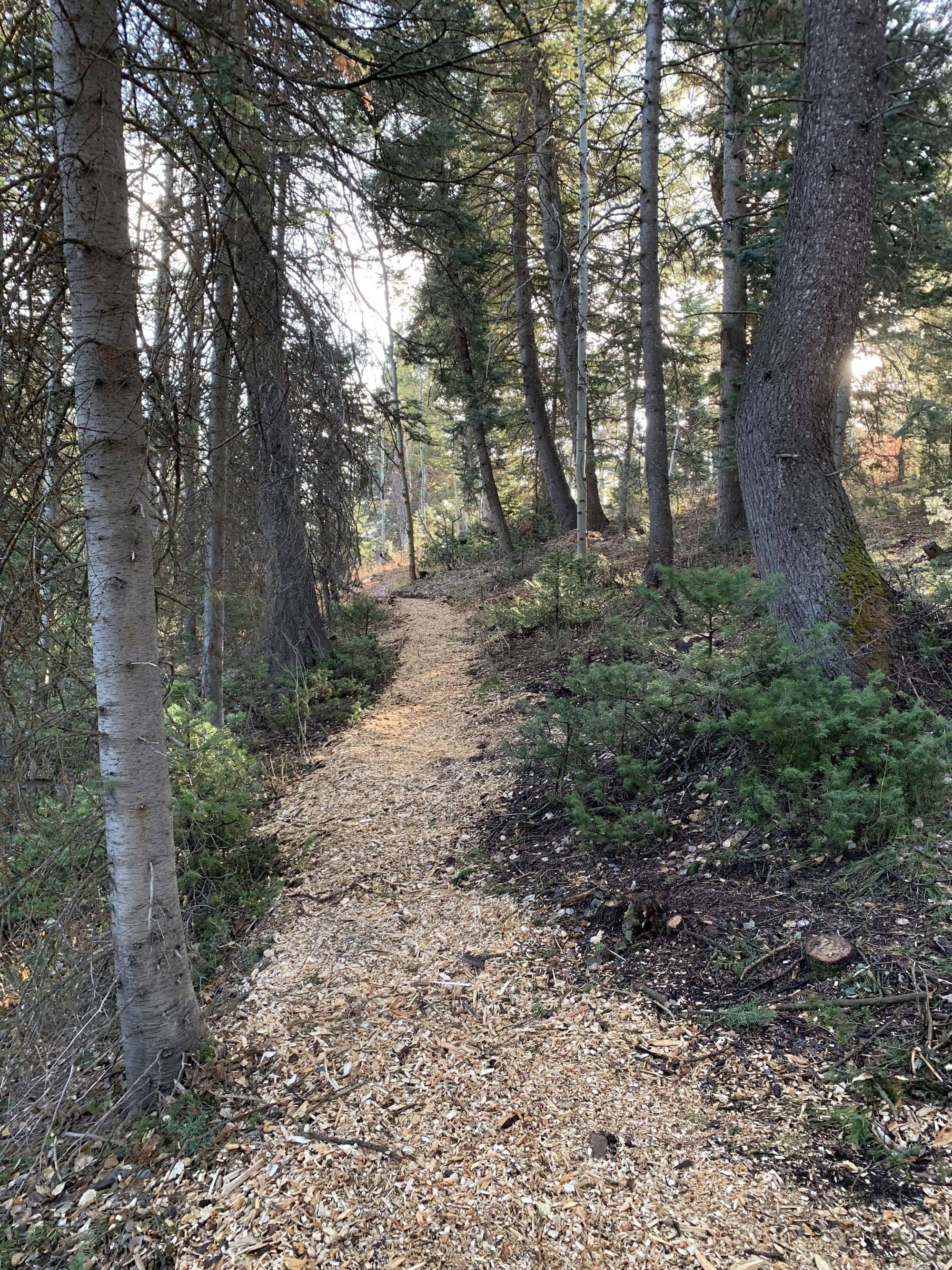 After — White Pine Canyon #19 — View 6 of 7