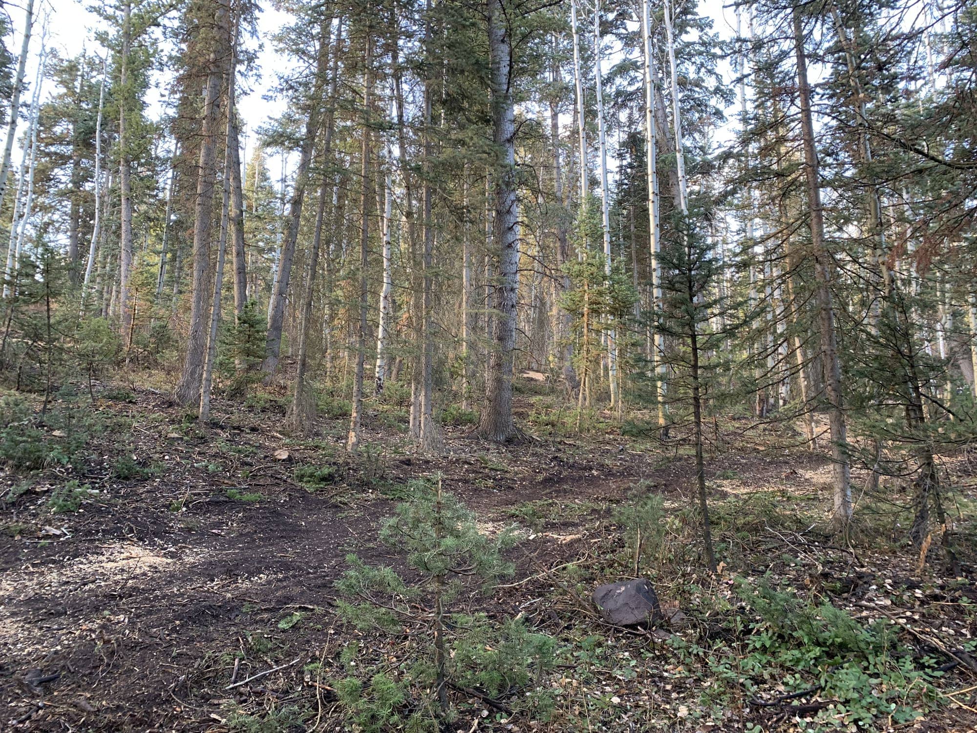 After — White Pine Canyon #19 — View 7 of 7