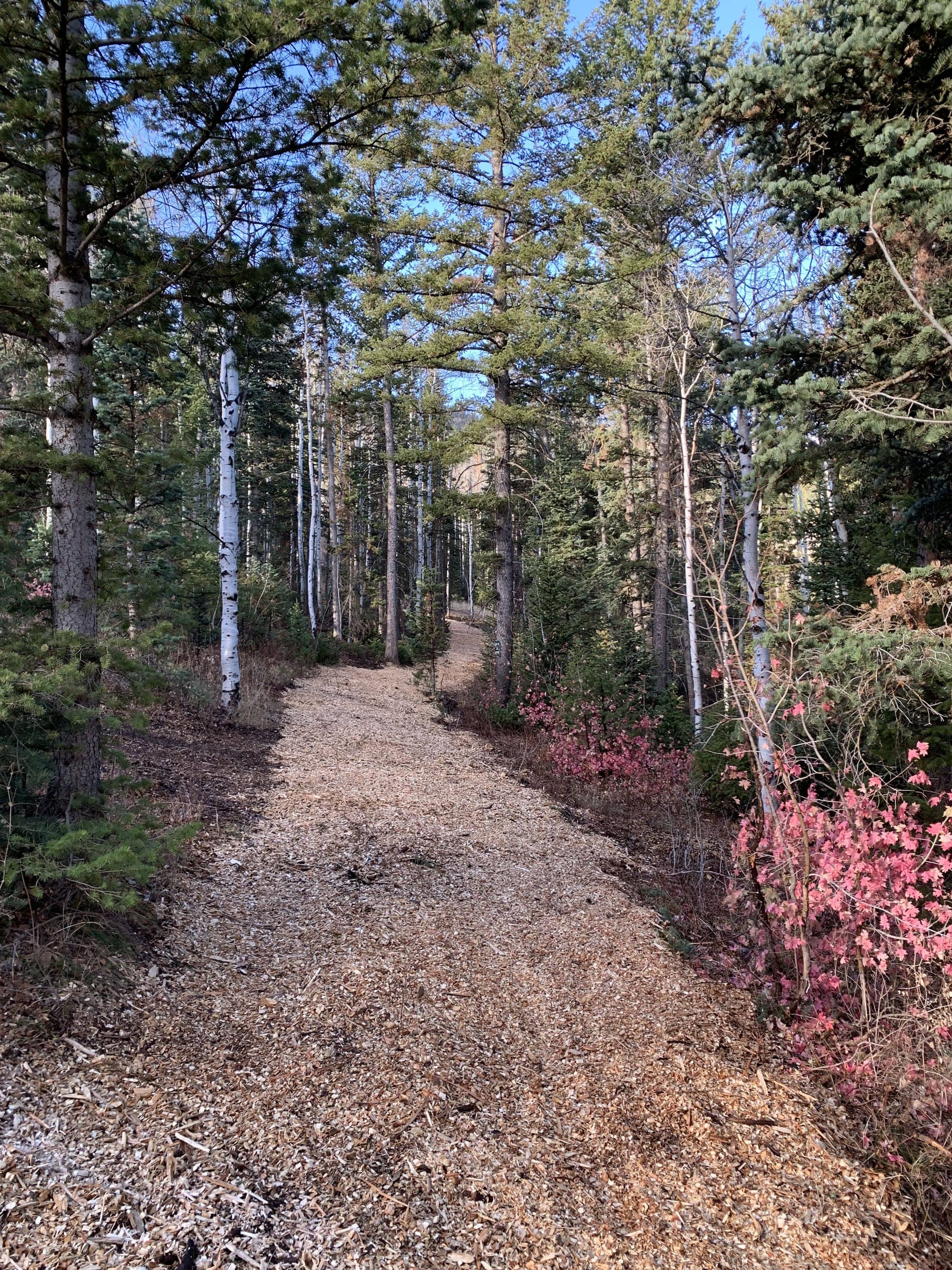 After — White Pine Canyon #19 — View 1 of 7