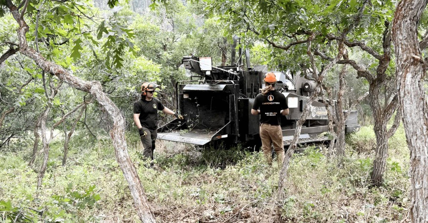 Canyon Cutters land-clearing mulcher in dense trees