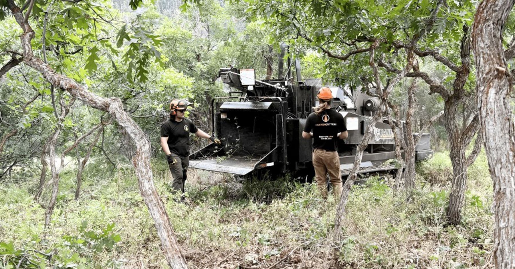 Canyon Cutters land-clearing mulcher processing brush in dense Wasatch trees
