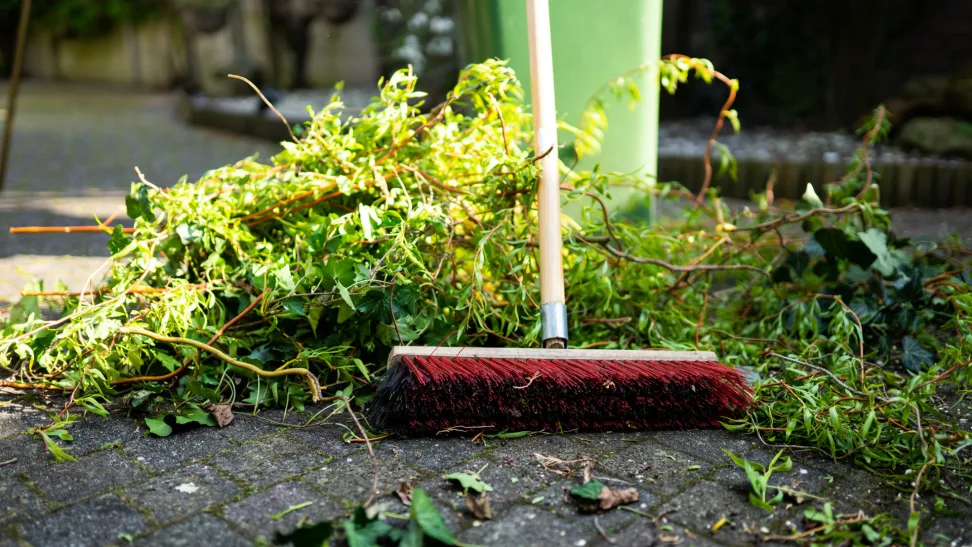 Yard Brush Removal in Park City: The Ultimate Guide