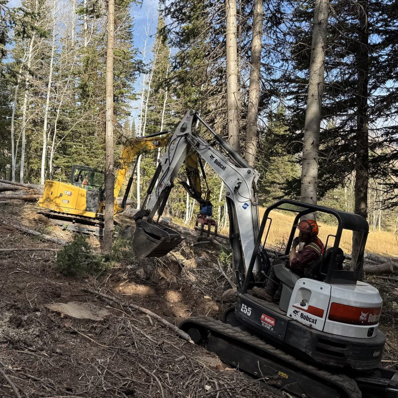 Canyon Cutters crew operating Bobcat and CAT excavators during a forest management and land clearing project in Park City, Utah.