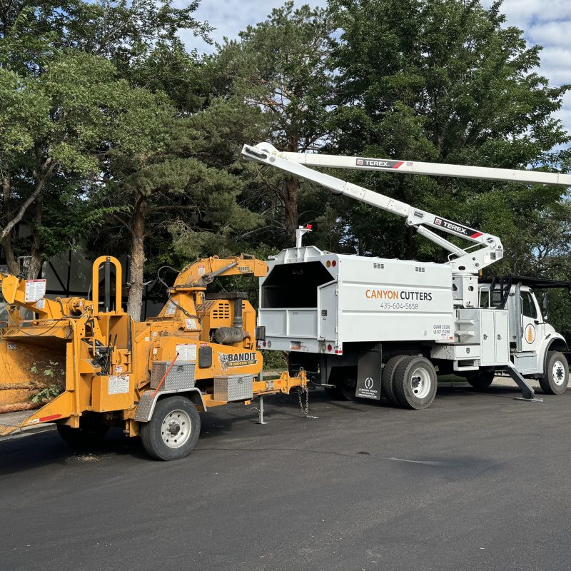 Canyon Cutters crew performing residential tree work with a bucket truck and Bandit wood chipper, branches fed into the chipper while an arborist works from the lift in Utah.