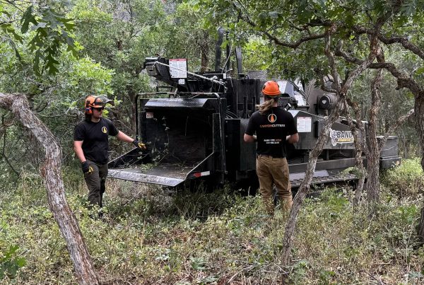Canyon Cutters crew operating a heavy-duty wood chipper during forest thinning and fire mitigation work in Park City, Utah, managing dense trees and brush on steep mountain terrain near ski resort properties.